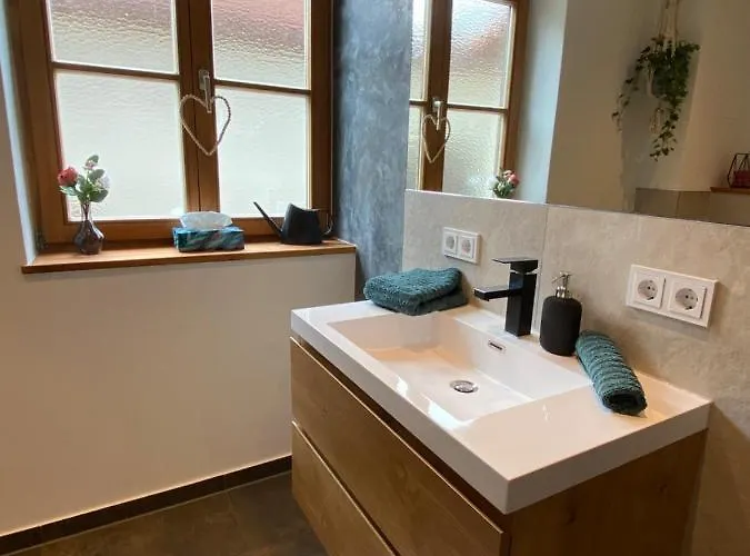 Appartement Neurenovierte Franzl